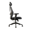 Matrix High Back Ergonomic Mesh Office Chair