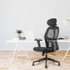 Matrix High Back Ergonomic Mesh Office Chair