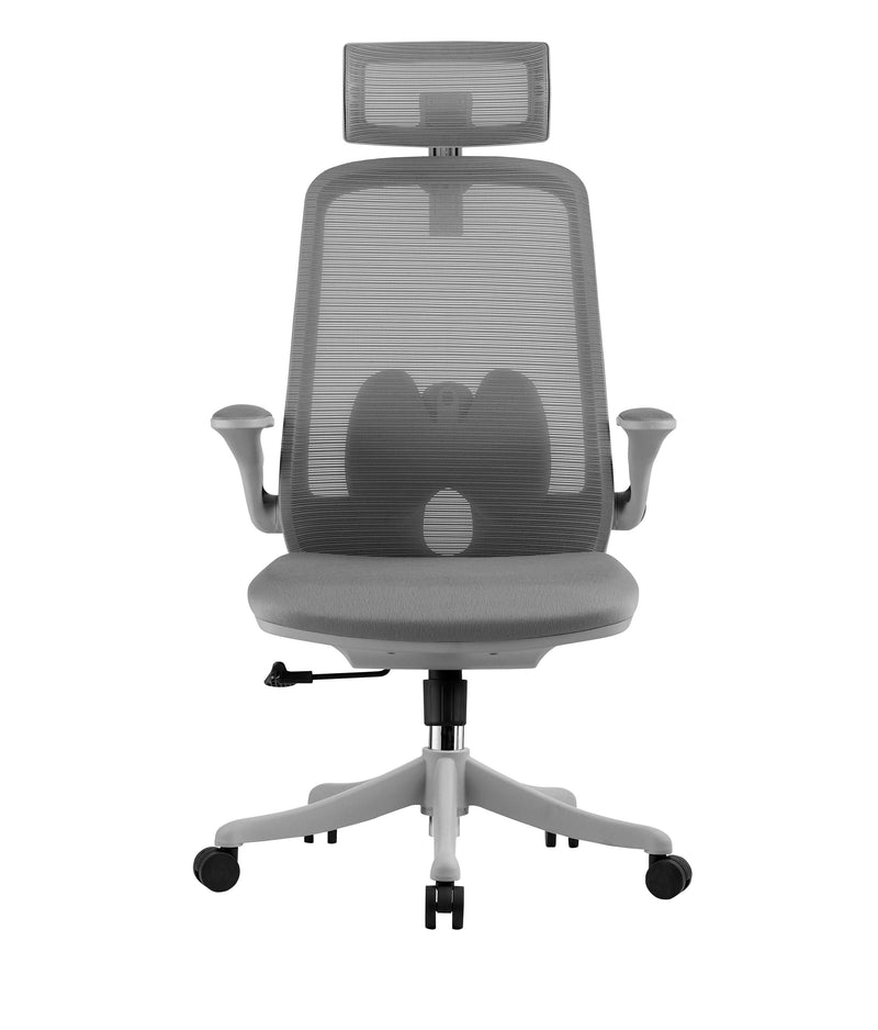 INNOWIN U&D High Back Ergonomic Revolving Computer Study Work from Home & Office Chair