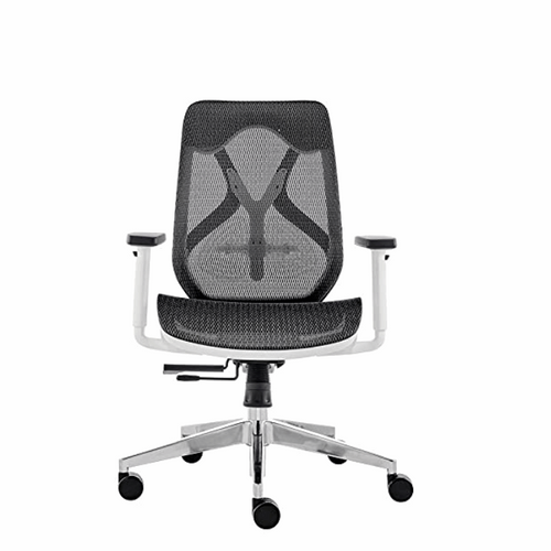 Ergonomic Office Chairs: One of the Most Popular Accessories in Modern –  Innowin Furniture