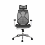 Berlin Ergonomic High Back Office Chair