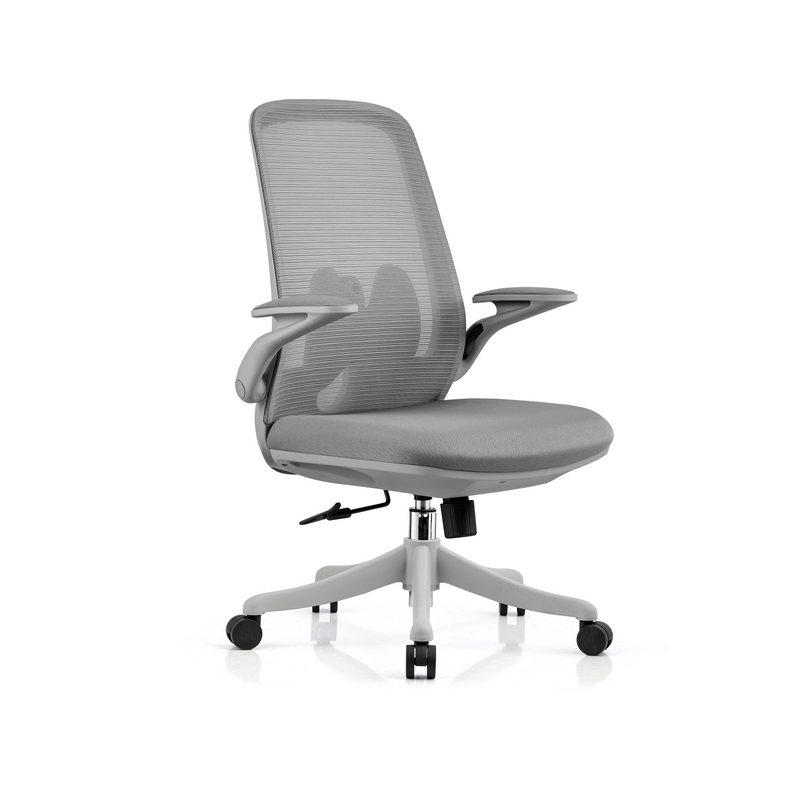Innowin pony mid back office chair Clearance