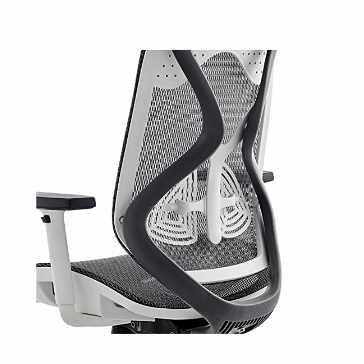 Berlin Ergonomic Medium Back Office Chair