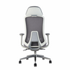 Innowin Roger HB Ergonomic chair