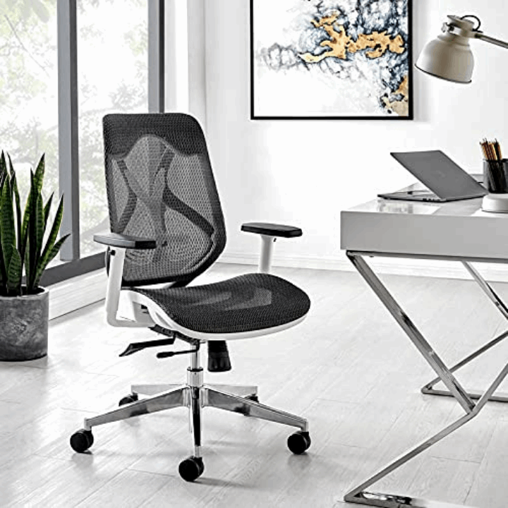 Berlin Ergonomic Medium Back Office Chair