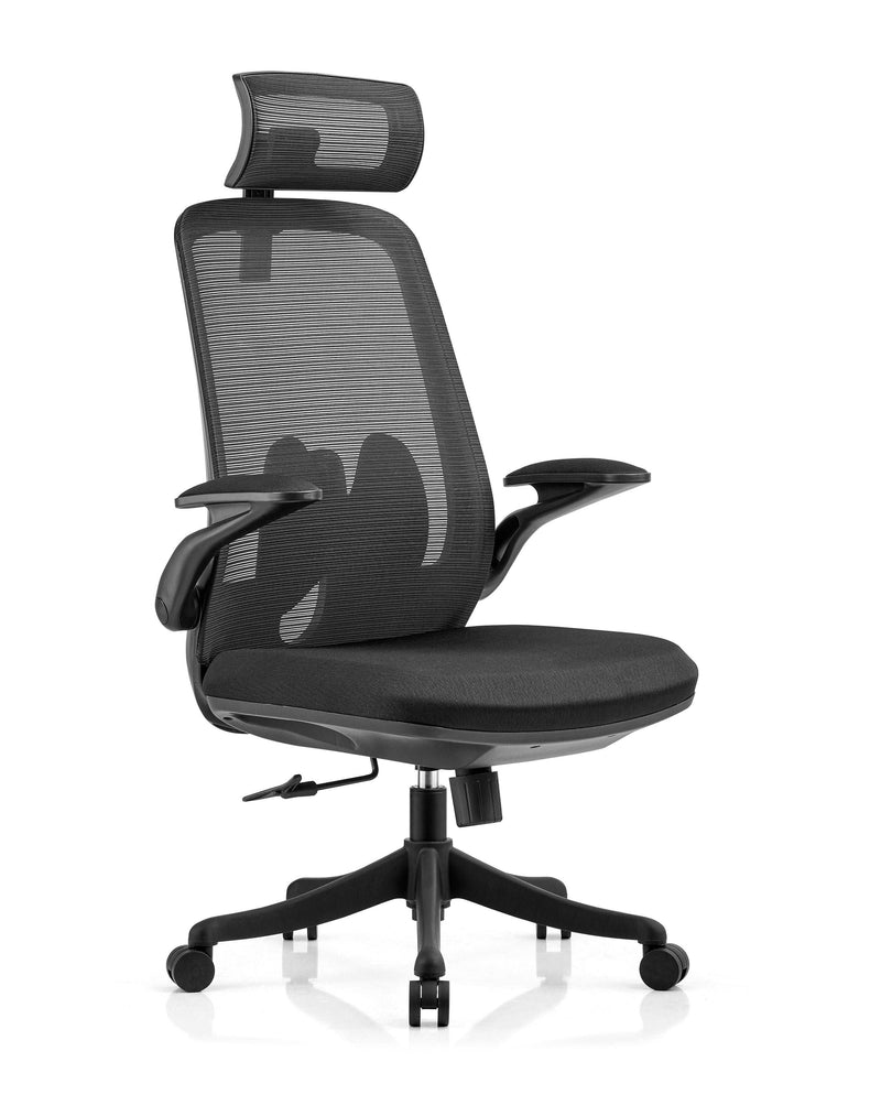 INNOWIN U&D High Back Ergonomic Revolving Computer Study Work from Home & Office Chair