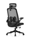 INNOWIN U&D High Back Ergonomic Revolving Computer Study Work from Home & Office Chair