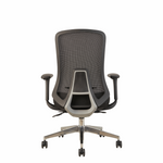 Roger Medium Back Ergonomic Office Chair