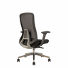 Roger Medium Back Ergonomic Office Chair