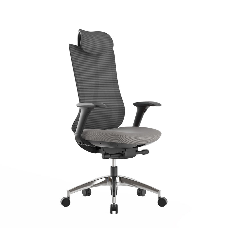 Social High Back Ergonomic Office Chair