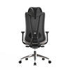 Social High Back Ergonomic Office Chair