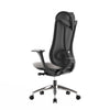 Social High Back Ergonomic Office Chair