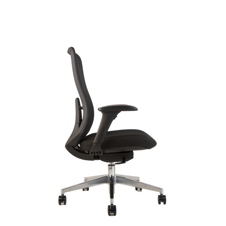 Roger Medium Back Ergonomic Office Chair