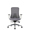 Roger Medium Back Ergonomic Office Chair