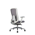 Roger Medium Back Ergonomic Office Chair