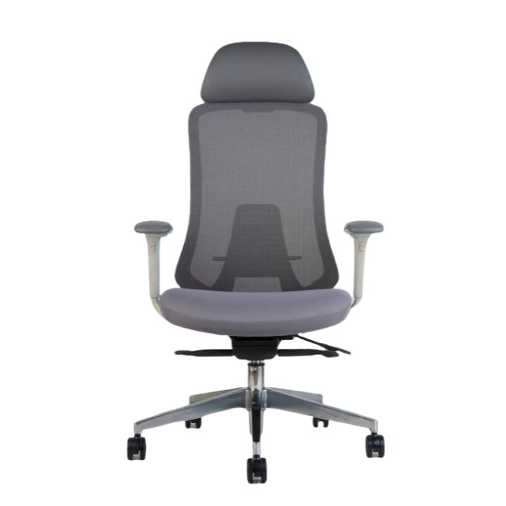 Roger High Back Ergonomic Office Chair