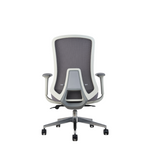 Innowin Roger MB Ergonomic chair