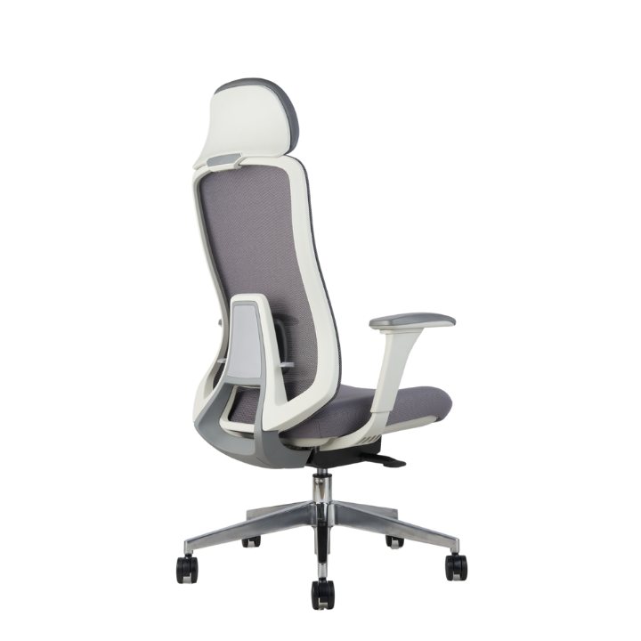 Roger High Back Ergonomic Office Chair