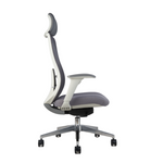 Roger High Back Ergonomic Office Chair