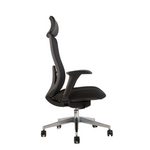 Roger High Back Ergonomic Office Chair